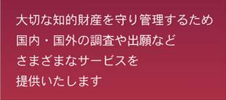 大切な知的財産を守り管理するためのサービスを提供します